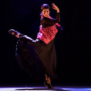 Meet your Posher, Irene